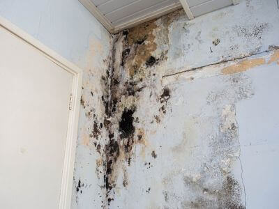 About TerraGuard - water damage restoration experts in Grand Rapids