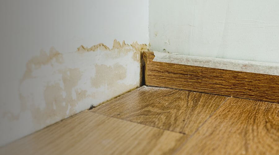 Why choose TerraGuard for water damage restoration in Grand Rapids
